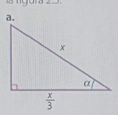 là ngura 2.5.