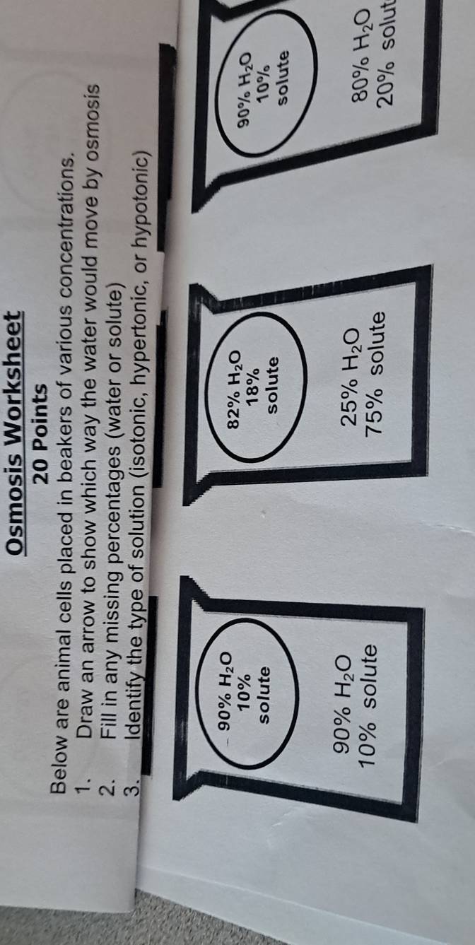 Osmosis Worksheet 
20 Points 
Below are animal cells placed in beakers of various concentrations. 
1. Draw an arrow to show which way the water would move by osmosis 
2. Fill in any missing percentages (water or solute) 
3. Identify the type of solution (isotonic, hypertonic, or hypotonic)
90% H_2O
82% H_2O 90% H_2O
10% 18%
solute solute 10%
solute
25% H_2O
90% H_2O 80% H_2O
10% solute 75% solute 20% solut