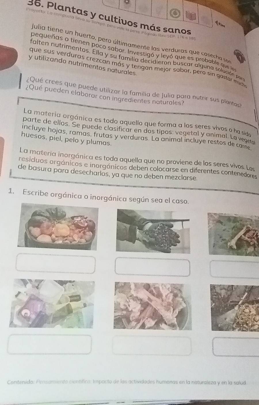 Plantas y cultivos más sanos 
qejos 
Proyecto. La composta lleva su tiempa, pero vale la pena. Páginas libre SEP: 176 a 181 
Julia tiene un huerto, pero últimamente las verduras que cosecha son 
pequeñas o tienen poco sabor. Investigó y leyó que es probable que les 
falten nutrimentos. Ella y su familia decidieron buscar alguna solución para 
y utilizando nutrimentos naturales. 
que sus verduras crezcan más y tengan mejor sabor, pero sin gastar mucha 
¿Qué crees que puede utilizar la familia de Julia para nutrir sus plantas? 
¿Qué pueden elaborar con ingredientes naturales? 
La materia orgánica es todo aquello que forma a los seres vivos o ha sida 
parte de ellos. Se puede clasificar en dos tipos: vegetal y animal. La vegetal 
incluye hojas, ramas, frutas y verduras. La animal incluye restos de carne. 
huesos, piel, pelo y plumas. 
La materia inorgánica es toda aquella que no proviene de los seres vivos. Los 
residuos orgánicos e inorgánicos deben colocarse en diferentes contenedores 
de basura para desecharlos, ya que no deben mezclarse. 
1. Escribe orgánica o inorgánica según sea el caso. 
Contenida: Pensamiento científica: Impacto de las actividades humanas en la naturaleza y en la salud