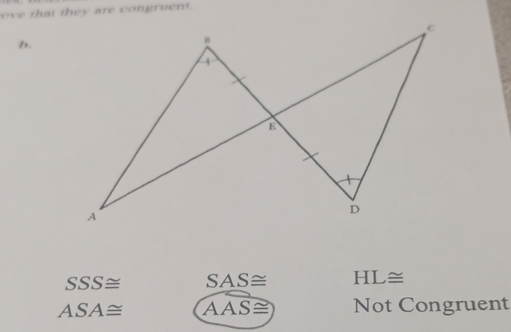 SSS≌
SAS≌
HL≌
ASA≌
widehat AAS≌ 
Not Congruent