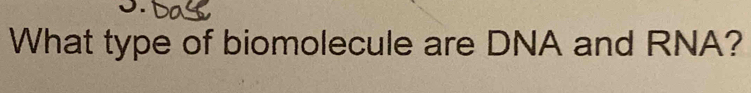 What type of biomolecule are DNA and RNA?