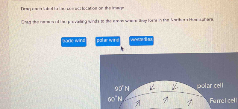 Drag each label to the correct location on the image.
Drag the names of the prevailing winds to the areas where they form in the Northern Hemisphere.
trade wind polar wind westerlies
90°N polar cell
60°N, 
Ferrel cell