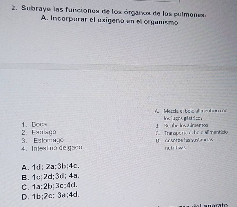 Subraye las funciones de los órganos de los pulmones:
A. Incorporar el oxígeno en el organismo
A. Mezcla el bolo alimenticio con
los jugos gástricos
1. Boca B. Recibe los alimentos
2. Esófago C. Transporta el bolo alimenticio
3. Estomago D. Adsorbe las sustancias
4. Intestino delgado nutritivas
A. 1d; 2a; 3b; 4c.
B. 1c; 2d; 3d; 4a.
C. 1a; 2b; 3c; 4d.
D. 1b; 2c; 3a; 4d.
anarato