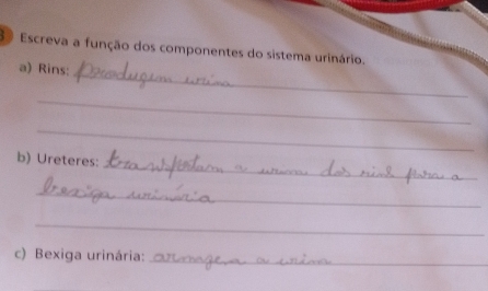 º Escreva a função dos componentes do sistema urinário. 
_ 
a) Rins: 
_ 
_ 
_ 
b) Ureteres: 
_ 
_ 
c) Bexiga urinária:_