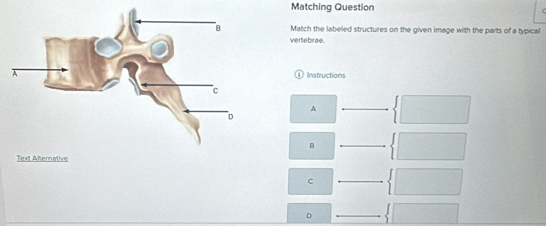 Solved: Matching Question Match the labeled structures on the given ...