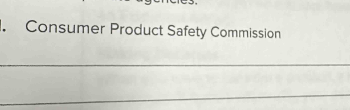 Consumer Product Safety Commission 
_ 
_