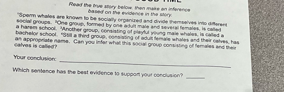 Read the true story below. then make an inference 
based on the evidence in the story. 
*Sperm whales are known to be socially organized and divide themselves into different 
social groups. ²One group, formed by one adult male and several females, is called 
a harem school. Another group, consisting of playful young male whales, is called a 
bachelor school. “Still a third group, consisting of adult female whales and their calves, has 
an appropriate name. Can you infer what this social group consisting of females and their 
calves is called? 
_ 
Your conclusion: 
Which sentence has the best evidence to support your conclusion? 
_