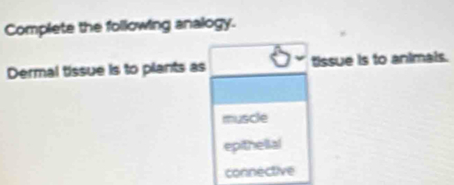 Complete the following analogy.
Dermal tissue is to plants as tissue is to animals.
muscle
epithelial
connective