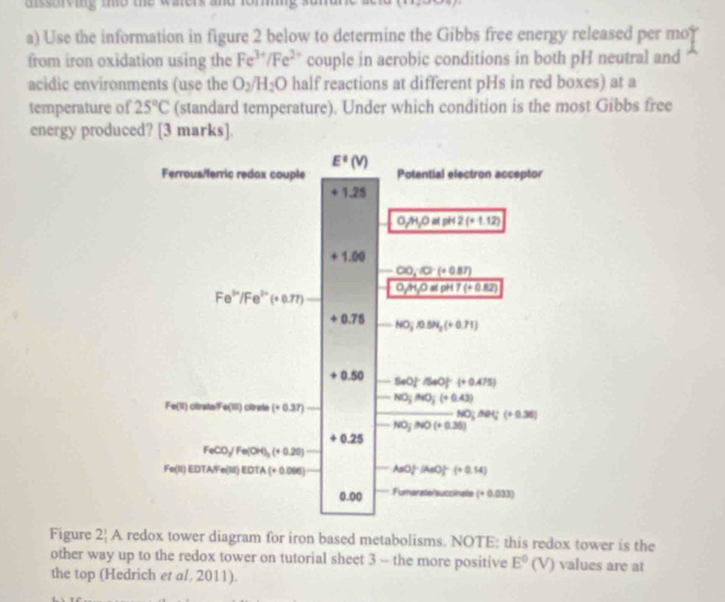 dissorviy mo the waters and fom .
a) Use the information in figure 2 below to determine the Gibbs free energy released per mor
from iron oxidation using the Fe^(3+)/Fe^(2+) couple in aerobic conditions in both pH neutral and
acidic environments (use the O_2/H_2O half reactions at different pHs in red boxes) at a
temperature of 25°C (standard temperature). Under which condition is the most Gibbs free
energy produced? [3 marks].
Figure 2 A redox tower diagram for iron based metabolisms. NOTE: this redox tower is the
other way up to the redox tower on tutorial sheet 3 - the more positive E^0(V) values are at
the top (Hedrich et al, 2011).