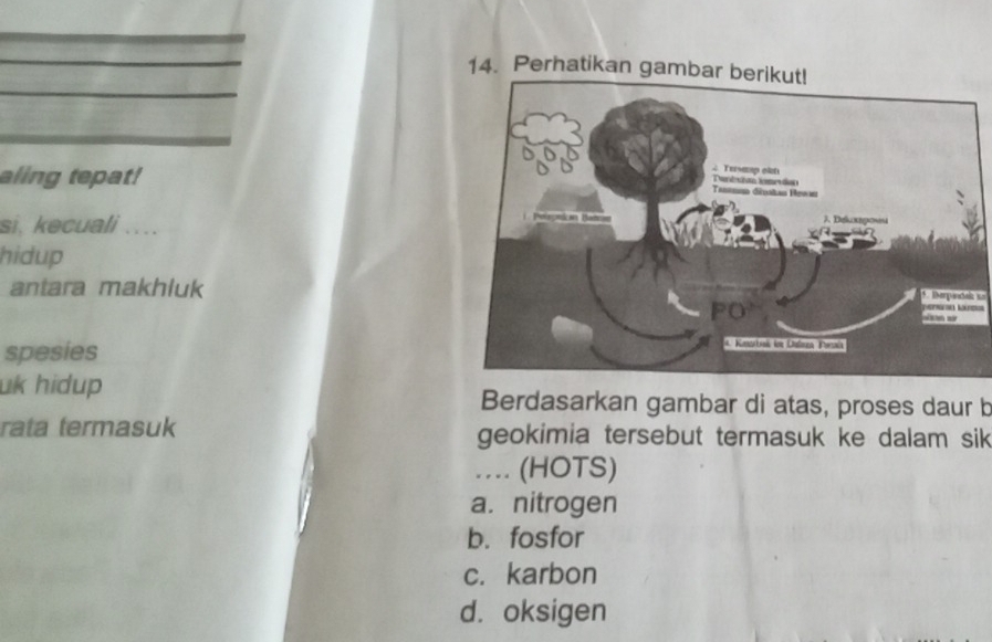 Perhatikan gambar berikut!
aling tepat!
si, kecuali ....
hidup
antara makhluk 
m
spesies
uk hidup Berdasarkan gambar di atas, proses daur b
rata termasuk geokimia tersebut termasuk ke dalam sik 
… (HOTS)
a. nitrogen
b. fosfor
c. karbon
d. oksigen