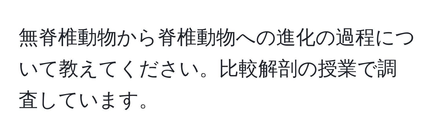 無脊椎動物から脊椎動物への進化の過程について教えてください。比較解剖の授業で調査しています。