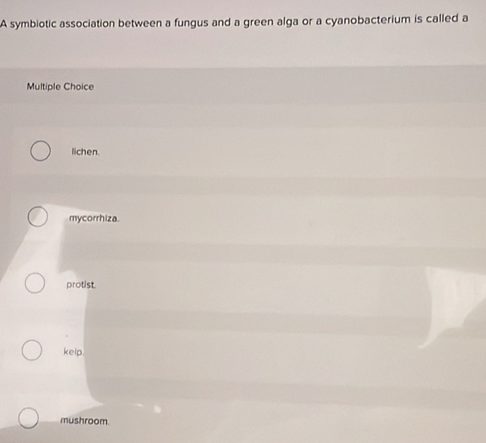 A symbiotic association between a fungus and a green alga or a cyanobacterium is called a
Multiple Choice
lichen.
mycorrhiza.
protist.
kelp.
mushroom.