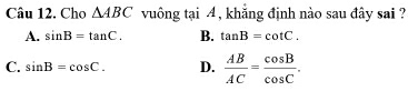 Cho △ ABC vuông tại 4 , khẳng định nào sau đây sai ?
A. sin B=tan C. B. tan B=cot C.
C. sin B=cos C. D.  AB/AC = cos B/cos C .