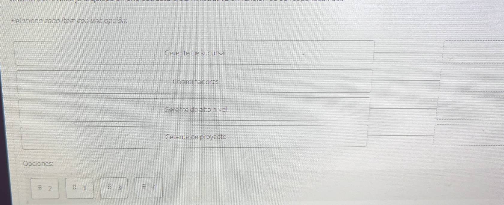 Relaciona cada ítem con una apción: 
Gerente de sucursal 
Coordinadores 
Gerente de alto nível 
Gerente de proyecto 
Opciones: 
2 1; ^