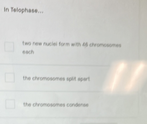 In Telophase...
two new nuclei form with 46 chromosomes
each
the chromosomes split apart
the chromosomes condense