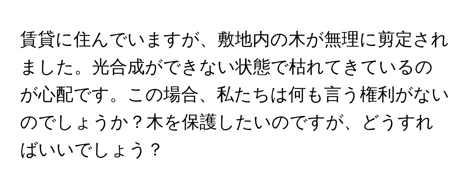 賃貸に住んでいますが、敷地内の木が無理に剪定されました。光合成ができない状態で枯れてきているのが心配です。この場合、私たちは何も言う権利がないのでしょうか？木を保護したいのですが、どうすればいいでしょう？