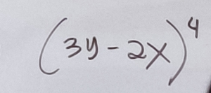 (3y-2x)^4