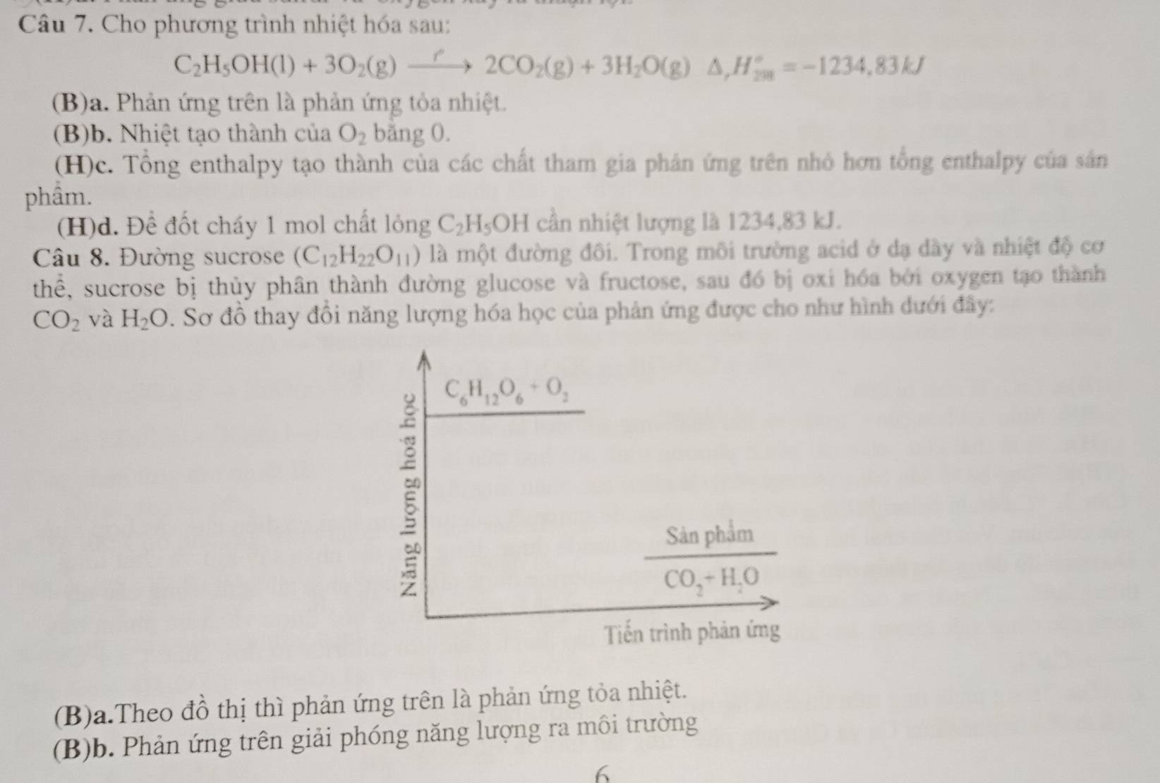 Cho phương trình nhiệt hóa sau:
C_2H_5OH(l)+3O_2(g)xrightarrow r2CO_2(g)+3H_2O(g)△ ,H_(200)°=-1234,83kJ
(B)a. Phản ứng trên là phản ứng tỏa nhiệt.
(B)b. Nhiệt tạo thành của O_2 băng 0.
(H)c. Tổng enthalpy tạo thành của các chất tham gia phân ứng trên nhỏ hơn tổng enthalpy của sân
phầm.
(H)d. Đề đốt cháy 1 mol chất lỏng C_2H_5OH cần nhiệt lượng là 1234,83 kJ.
Câu 8. Đường sucrose (C_12H_22O_11) là một đường đôi. Trong môi trường acid ở dạ dày và nhiệt độ cơ
thể, sucrose bị thủy phân thành đường glucose và fructose, sau đó bị oxi hóa bởi oxygen tạo thành
CO_2 và H_2O. Sơ đồ thay đổi năng lượng hóa học của phản ứng được cho như hình dưới đây:
(B)a.Theo đồ thị thì phản ứng trên là phản ứng tỏa nhiệt.
(B)b. Phản ứng trên giải phóng năng lượng ra môi trường
6