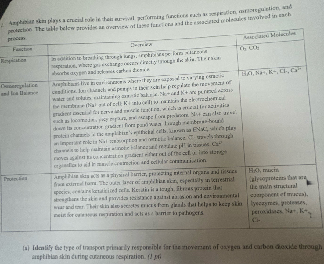 Aphibian skin plays a crucial role in their survival, performing functions such as respiration, osmoregulation, and
prthe associated molecules involved in each
pr
Resp
Osm
and I
Pro
(a) Identify the type of transport primarily responsible for the movement of oxygen and carbon dioxide through
amphibian skin during cutaneous respiration. (1 pt)