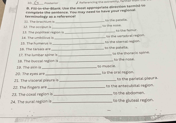 Posterior Referencing the extremity, farther full 
B. Fill-in-the-Blank: Use the most appropriate direction term(s) to 
complete the sentence. You may need to have your regional 
terminology as a reference! 
11. The brachium is to the patella. 
12. The occiput is to the nose. 
13. The popliteal region is _to the femur. 
14. The umbilicus is _to the vertebral region. 
15. The humerus is _to the sternal region. 
16. The tarsals are _to the patella. 
17. The lumbar spine is _to the thoracic spine. 
18. The buccal region is_ to the nose. 
19. The skin is _to muscle. 
20. The eyes are to the oral region. 
21. The visceral pleura is _to the parietal pleura. 
22. The fingers are to the antecubital region. 
23. The coxal region is _to the abdomen. 
24. The sural region is to the gluteal region.