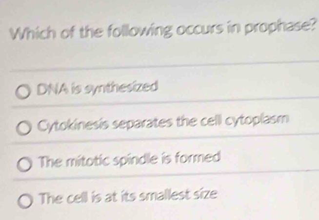 Which of the following occurs in prophase?
DNA is synthesized
Cytokinesis separates the cell cytoplasm
The mitotic spindle is formed
The cell is at its smallest size