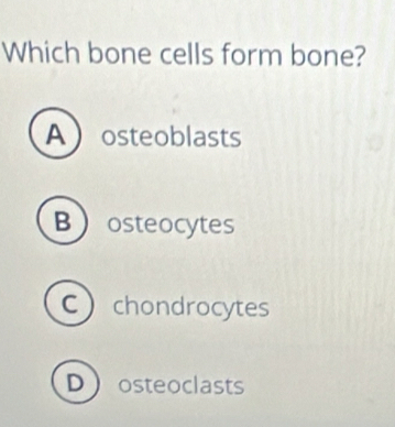 Which bone cells form bone?
A osteoblasts
Bosteocytes
Cchondrocytes
Dosteoclasts