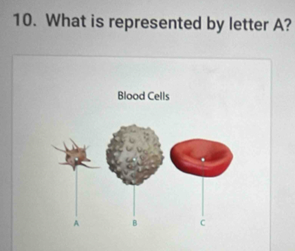 What is represented by letter A?