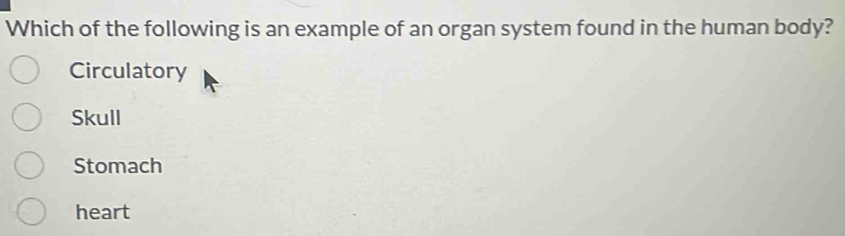 Which of the following is an example of an organ system found in the human body?
Circulatory
Skull
Stomach
heart