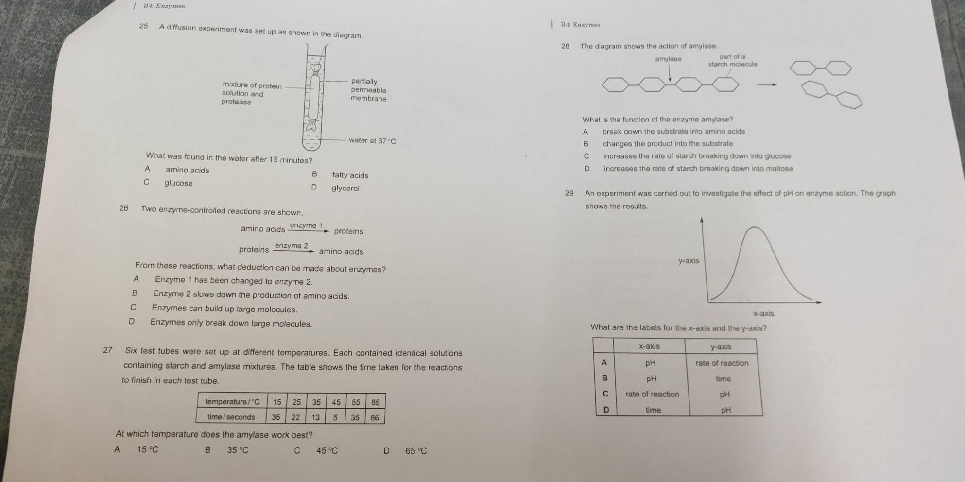 B4: Enzymes
B4: Enzymes
25 A diffusion experiment was set up as shown in the diagram.
28 The diagram shows the action of amylase.
amylase
starch molecule
What is the function of the enzyme amylase?
A break down the substrate into amino acids
B changes the product into the substrate
What was found in the water after 15 minutes? C increases the rate of starch breaking down into glucose
A amino acids B fatty acids D increases the rate of starch breaking down into maitose
C glucose D glycerol
26 Two enzyme-controlled reactions are shown. shows the results.
enzyme 1
amino acids  proteins
proteins enzyme 2
amino acids
From these reactions, what deduction can be made about enzymes?
A Enzyme 1 has been changed to enzyme 2.
B Enzyme 2 slows down the production of amino acids.
C Enzymes can build up large molecules.
D  Enzymes only break down large molecules. What are the labels for the x-axis and the y-axis?
x-axis y-axis
27 Six test tubes were set up at different temperatures. Each contained identical solutions
containing starch and amylase mixtures. The table shows the time taken for the reactions
A pH rate of reaction
to finish in each test tube.
B pH time
C
rate of reaction pH
D time pH
At which temperature does the amylase work best?
A 15°C 8 35°C 45°C D 65°C