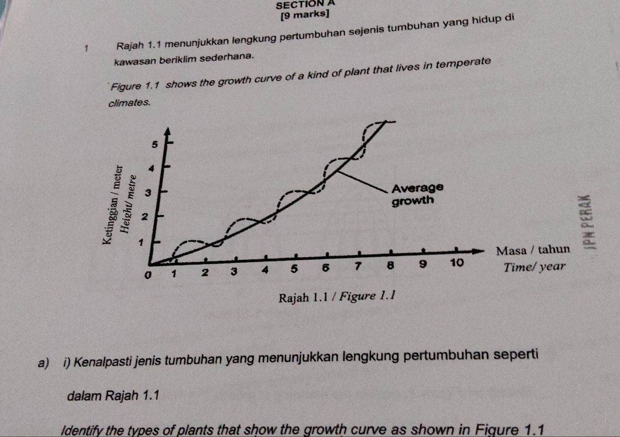 Rajah 1.1 menunjukkan lengkung pertumbuhan sejenis tumbuhan yang hidup di 
kawasan beriklim sederhana. 
Figure 1.1 shows the growth curve of a kind of plant that lives in temperate 
climates. 
a) i) Kenalpasti jenis tumbuhan yang menunjukkan lengkung pertumbuhan seperti 
dalam Rajah 1.1 
Identify the types of plants that show the growth curve as shown in Figure 1.1