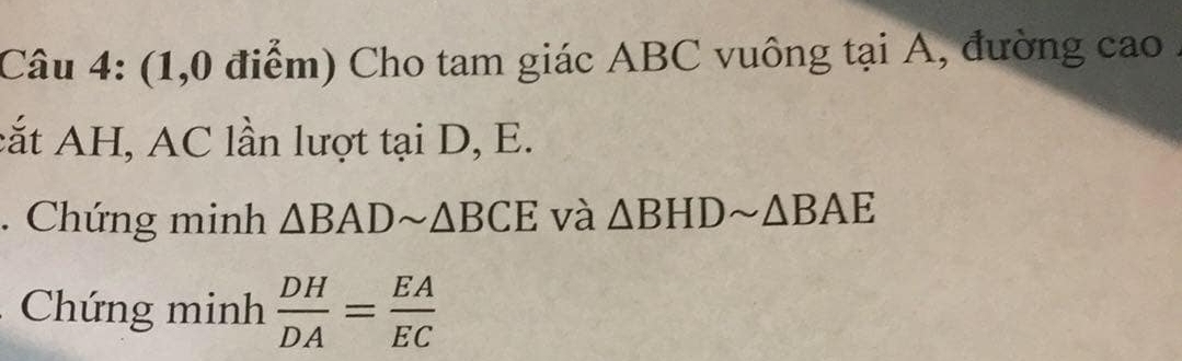 (1,0 điểm) Cho tam giác ABC vuông tại A, đường cao . 
cắt AH, AC lần lượt tại D, E. 
. Chứng minh △ BADsim △ BCE và △ BHDsim △ BAE
Chứng minh  DH/DA = EA/EC 