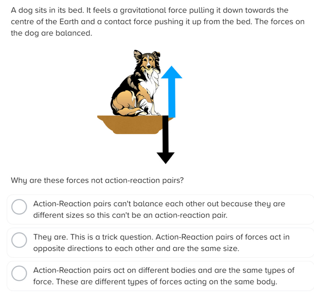 A dog sits in its bed. It feels a gravitational force pulling it down towards the
centre of the Earth and a contact force pushing it up from the bed. The forces on
the dog are balanced.
Why are these forces not action-reaction pairs?
Action-Reaction pairs can't balance each other out because they are
different sizes so this can't be an action-reaction pair.
They are. This is a trick question. Action-Reaction pairs of forces act in
opposite directions to each other and are the same size.
Action-Reaction pairs act on different bodies and are the same types of
force. These are different types of forces acting on the same body.