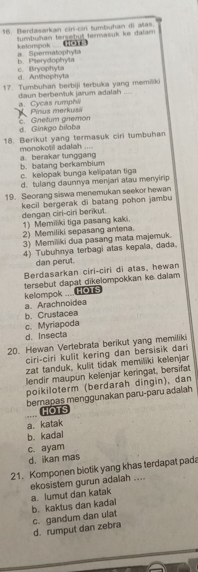 Berdasarkan ciri-ciri tumbuhan di atas.
tumbuhan tersebut termasuk ke dalam 
kelompok ....
a. Spermatophyta
b. Pterydophyta
c. Bryophyta
d. Anthophyta
17. Tumbuhan berbiji terbuka yang memiliki
daun berbentuk jarum adalah ....
a. Cycas rumphii
Pinus merkusii
c. Gnetum gnemon
d. Ginkgo biloba
18. Berikut yang termasuk ciri tumbuhan
monokotil adalah ....
a. berakar tunggang
b. batang berkambium
c. kelopak bunga kelipatan tiga
d. tulang daunnya menjari atau menyirip
19. Seorang siswa menemukan seekor hewan
kecil bergerak di batang pohon jambu
dengan ciri-ciri berikut.
1) Memiliki tiga pasang kaki.
2) Memiliki sepasang antena.
3) Memiliki dua pasang mata majemuk.
4) Tubuhnya terbagi atas kepala, dada,
dan perut.
Berdasarkan ciri-ciri di atas, hewan
tersebut dapat dikelompokkan ke dalam
kelompok .... HOTS
a. Arachnoidea
b. Crustacea
c. Myriapoda
d. Insecta
20. Hewan Vertebrata berikut yang memiliki
ciri-ciri kulit kering dan bersisik dari
zat tanduk, kulit tidak memiliki kelenjar
lendir maupun kelenjar keringat, bersifat
poikiloterm (berdarah dingin), dan
bernapas menggunakan paru-paru adalah
HOTS
a. katak
b. kadal
c. ayam
d. ikan mas
21. Komponen biotik yang khas terdapat pada
ekosistem gurun adalah ....
a. lumut dan katak
b. kaktus dan kadal
c. gandum dan ulat
d. rumput dan zebra