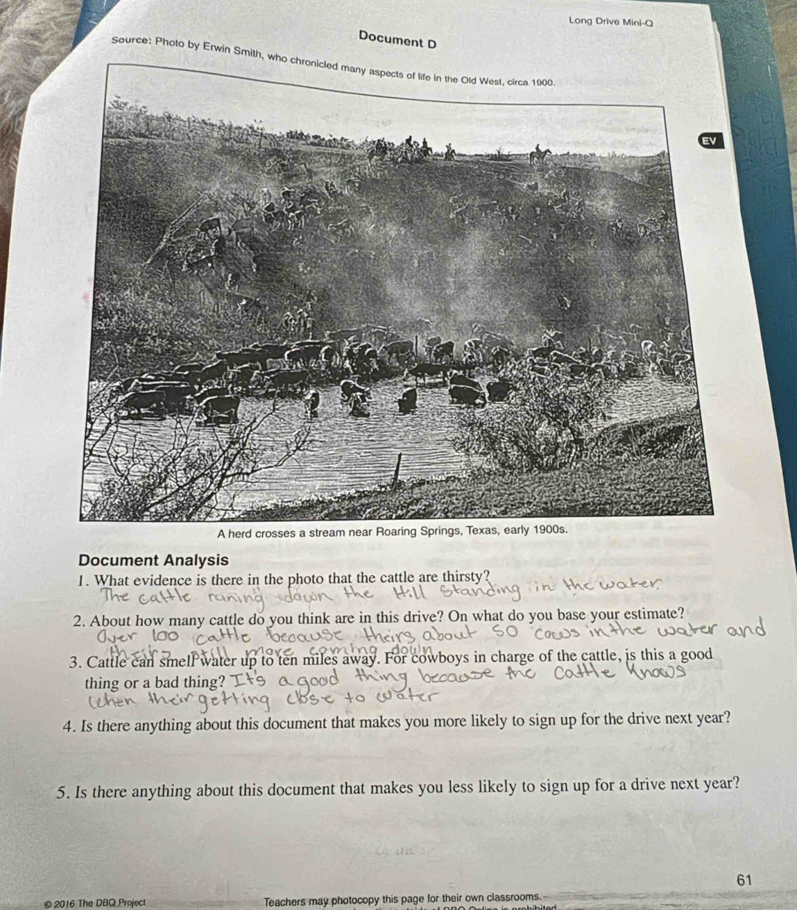 Long Drive Mini-Q 
Document D 
Source: Photo by Erw 
Document Analysis 
1. What evidence is there in the photo that the cattle are thirsty? 
2. About how many cattle do you think are in this drive? On what do you base your estimate? 
3. Cattle can smell water up to ten miles away. For cowboys in charge of the cattle, is this a good 
thing or a bad thing? 
4. Is there anything about this document that makes you more likely to sign up for the drive next year? 
5. Is there anything about this document that makes you less likely to sign up for a drive next year? 
61 
© 2016 The DBQ Project Teachers may photocopy this page for their own classrooms.