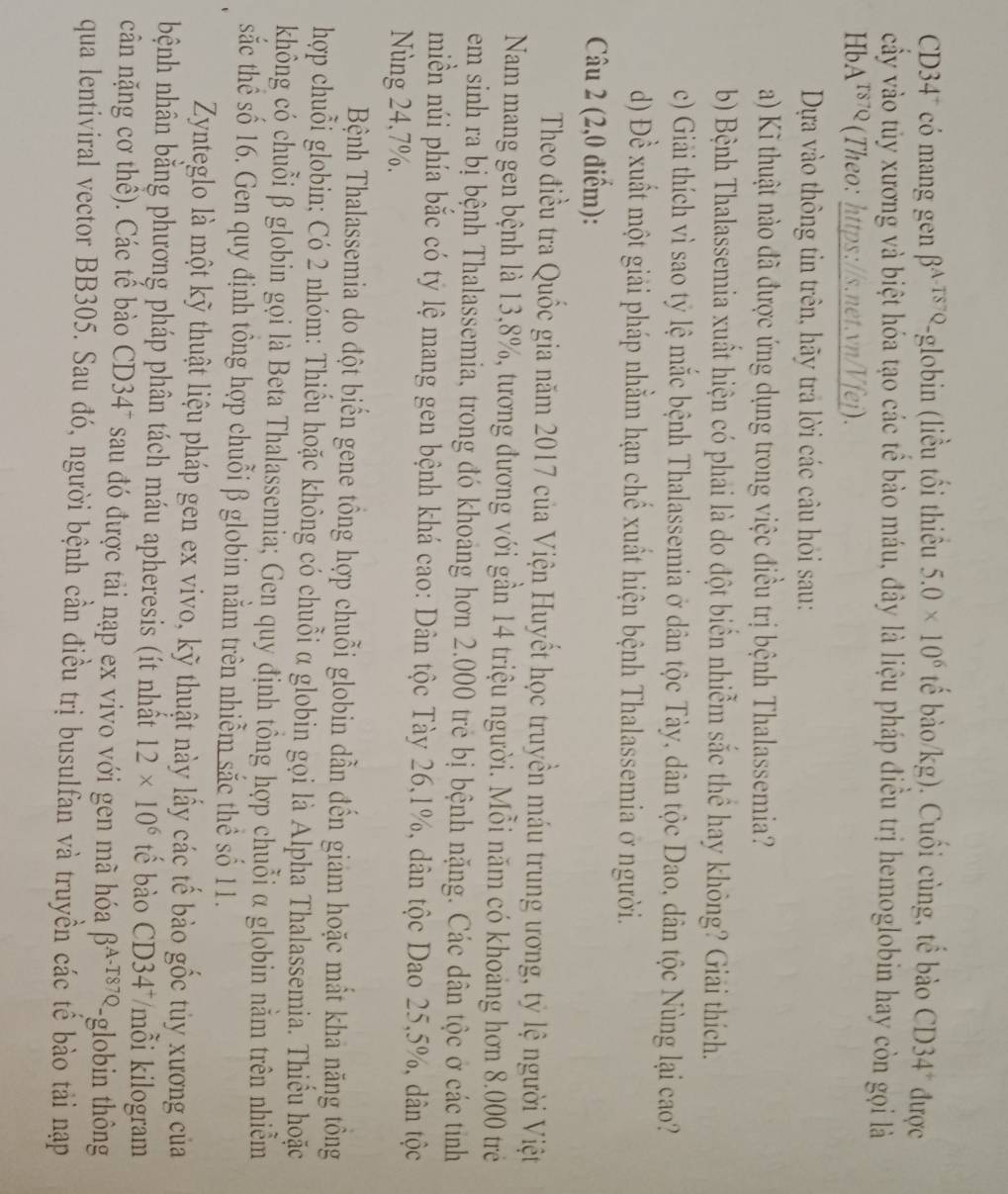C34° có mang gen beta^(A-TS)Q. -globin (liều tổi thiêu 5.0* 10^6 tế bào/kg). Cuối cùng, tế bào CD34° được
cây vào tủy xương và biệt hóa tạo các tê bào máu, đây là liệu pháp điều trị hemoglobin hay còn gọi là
HbA^(TS7Q) (Theo: https://s.net.vn/Vfej).
Dựa vào thông tin trên, hãy trả lời các câu hỏi sau:
a) Kĩ thuật nào đã được ứng dụng trong việc điều trị bệnh Thalassemia?
b) Bệnh Thalassemia xuất hiện có phai là do đột biển nhiễm sắc thể hay không? Giải thích.
c) Giải thích vì sao tỷ lệ mắc bệnh Thalassemia ở dân tộc Tày, dân tộc Dao, dân tộc Nùng lại cao?
d) Đề xuất một giải pháp nhằm hạn chế xuất hiện bệnh Thalassemia ở người.
Câu 2 (2,0 điểm):
Theo điều tra Quốc gia năm 2017 của Viện Huyết học truyền máu trung ương, tỷ lệ người Việt
Nam mang gen bệnh là 13,8%, tương đương với gần 14 triệu người. Mỗi năm có khoảng hơn 8.000 trẻ
em sinh ra bị bệnh Thalassemia, trong đó khoảng hơn 2.000 trẻ bị bệnh nặng. Các dân tộc ở các tỉnh
miền núi phía bắc có tỷ lệ mang gen bệnh khá cao: Dân tộc Tày 26,1%, dân tộc Dao 25,5%, dân tộc
Nùng 24,7%.
Bệnh Thalassemia do đột biến gene tổng hợp chuỗi globin dẫn đến giám hoặc mất kha năng tông
hợp chuỗi globin; Có 2 nhóm: Thiểu hoặc không có chuỗi α globin gọi là Alpha Thalassemia. Thiểu hoặc
không có chuỗi β globin gọi là Beta Thalassemia; Gen quy định tổng hợp chuỗi α globin nằm trên nhiễm
sắc thể số 16. Gen quy định tông hợp chuỗi β globin nằm trên nhiễm sắc thể số 11.
Zynteglo là một kỹ thuật liệu pháp gen ex vivo, kỹ thuật này lấy các tế bào gốc tủy xương của
bệnh nhân bằng phương pháp phân tách máu apheresis (ít nhất 12* 10^6 tế bào CD34⁻/mỗi kilogram
cân nặng cơ thể). Các tế bào CD347 sau đó được tải nạp ex vivo với gen mã hóa beta^(A-T87Q). ²-globin thông
qua lentiviral vector BB305. Sau đó, người bệnh cần điều trị busulfan và truyền các tế bào tải nạp
