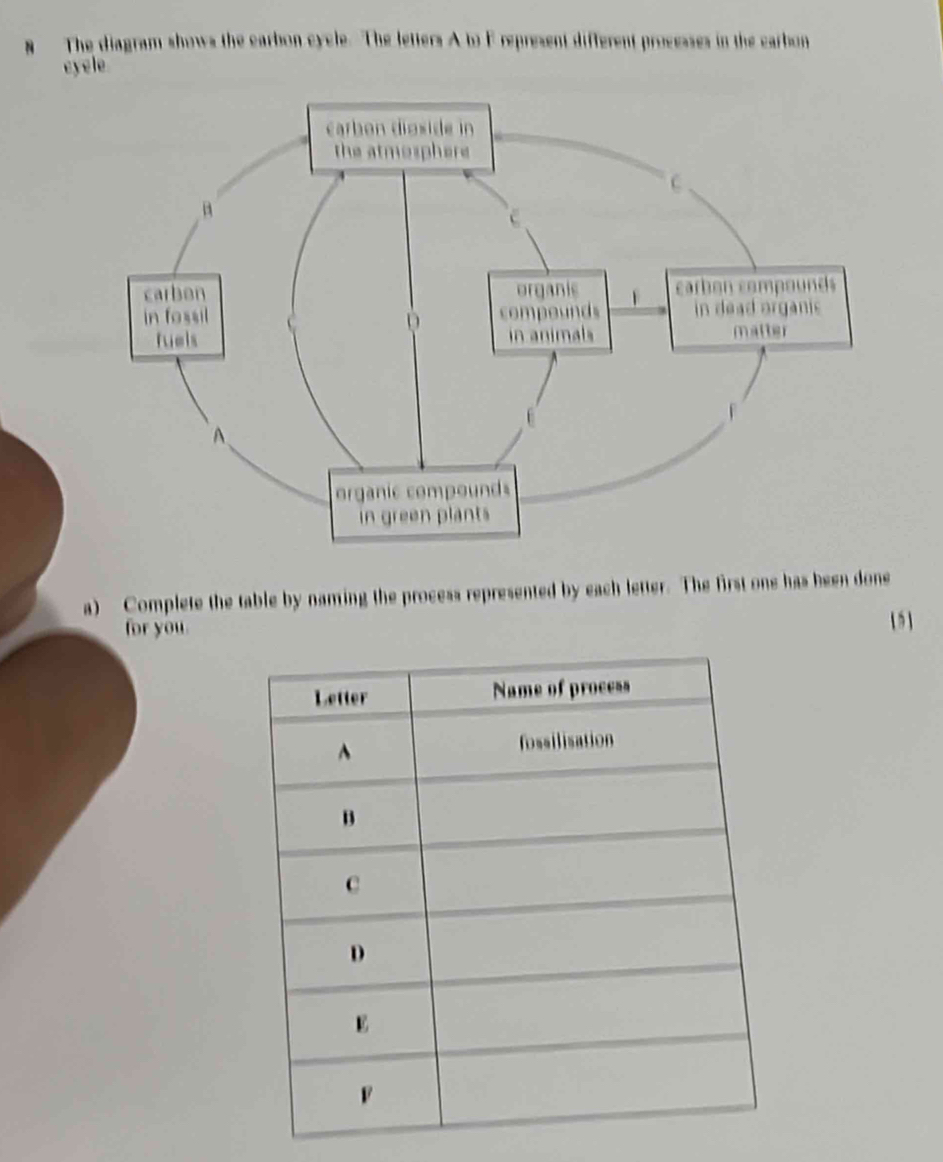 The diagram shows the earbon cycle. The letters A to F represent different processes in the carbon 
eyele 
a) Complete the table by naming the process represented by each letter. The first one has been done 
for you 1 5 ]