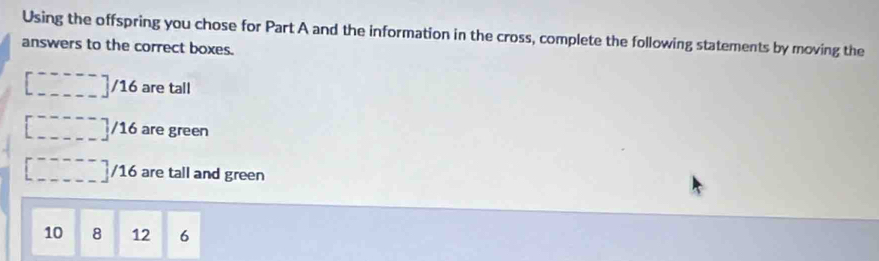 Using the offspring you chose for Part A and the information in the cross, complete the following statements by moving the 
answers to the correct boxes. 
... / 16 are tall 
----_ _ _ _  / 16 are green
□ / 16 are tall and green
10 8 12 6