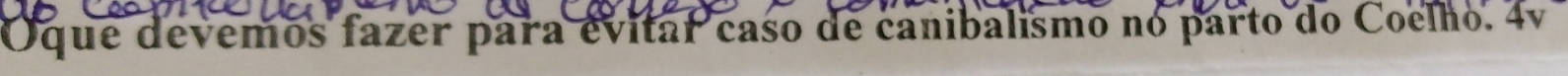 Oque devemos fazer para evitar caso de canibalismo no parto do Coelho. 4v