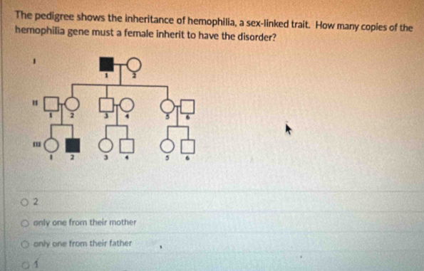 The pedigree shows the inheritance of hemophilia, a sex-linked trait. How many copies of the
hemophilia gene must a female inherit to have the disorder?
2
only one from their mother
only one from their father