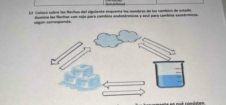 Solubilidad 
12 Coloca sobre las flechas del siguiente esquema los nombres de los cambios de estado. 
Ilumina las flechas con rojo para cambios endotérmicos y azul para cambios exotérmicos. 
según corresponda. 
mente en aué consisten.