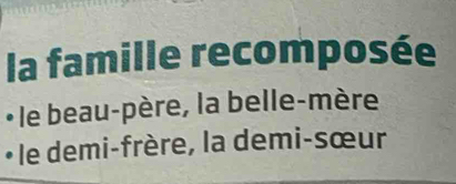 la famille recomposée
• le beau-père, la belle-mère
• le demi-frère, la demi-sœur