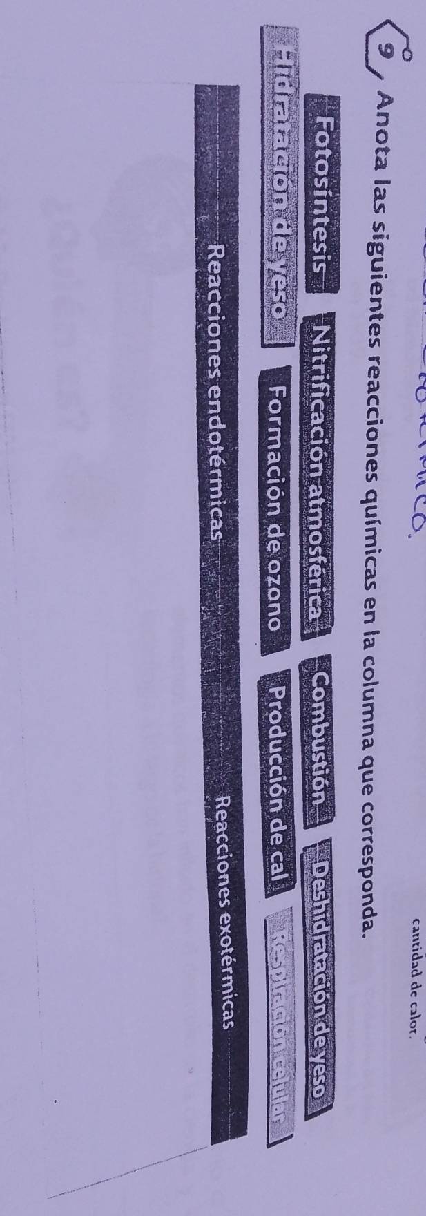 cantidad de calor.
9 y Anota las siguientes reacciones químicas en la columna que corresponda.
Fotosíntesis Nitrificación atmosférica Combustión Deshidratación de yeso
Hidratación de y Formación de ozono Producción de cal Respiración celular
Reacciones endotérmicas Reacciones exotérmicas