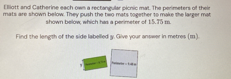 Solved: Elliott and Catherine each own a rectangular picnic mat. The ...