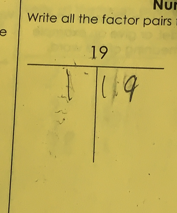 Nur 
Write all the factor pairs 
e