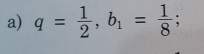 q= 1/2 , b_1= 1/8 ;