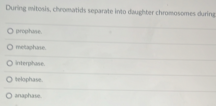 During mitosis, chromatids separate into daughter chromosomes during
prophase.
metaphase.
interphase.
telophase.
anaphase.