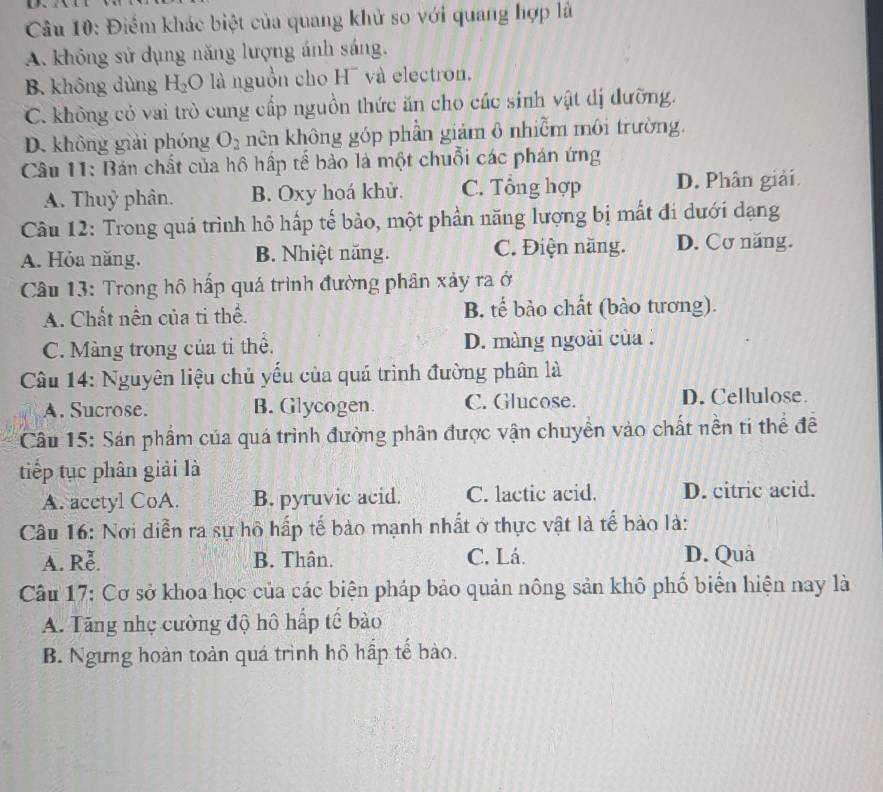 Điểm khác biệt của quang khử so với quang hợp là
A. không sử dụng năng lượng ánh sáng.
B. không dùng H_2O là nguồn cho H¯ và electron.
C. không có vai trò cung cấp nguồn thức ăn cho các sinh vật dị đưỡng.
D. không giải phóng O_2 nên không góp phần giảm ô nhiễm môi trường.
Câu 11: Bán chất của hồ hấp tế bảo là một chuỗi các phán ứng
A. Thuỷ phân. B. Oxy hoá khử. C. Tổng hợp D. Phân giải
Câu 12: Trong quá trình hô hấp tế bảo, một phần năng lượng bị mất đi dưới dạng
A. Hỏa năng. B. Nhiệt năng. C. Điện năng. D. Cơ năng.
Câu 13: Trong hô hấp quá trình đường phân xảy ra ở
A. Chất nền của ti thể. B. tế bào chất (bào tương).
C. Màng trong của tỉ thể. D. màng ngoài của :
Câu 14: Nguyên liệu chủ yếu của quá trình đường phân là
A. Sucrose. B. Glycogen. C. Glucose. D. Cellulose.
Câu 15: Sán phẩm của quá trình đường phân được vận chuyển vào chất nền tí thể đề
tiếp tục phân giải là
A. acetyl CoA. B. pyruvic acid. C. lactic acid. D. citric acid.
Câu 16: Nơi diễn ra sự hô hấp tế bào mạnh nhất ở thực vật là tế bào là:
A. Rễ. B. Thân. C. Lá. D. Quả
Câu 17: Cơ sở khoa học của các biện pháp bảo quản nông sản khô phố biển hiện nay là
A. Tăng nhẹ cường độ hô hấp tế bào
B. Ngưng hoàn toàn quá trình hô hấp tế bào.