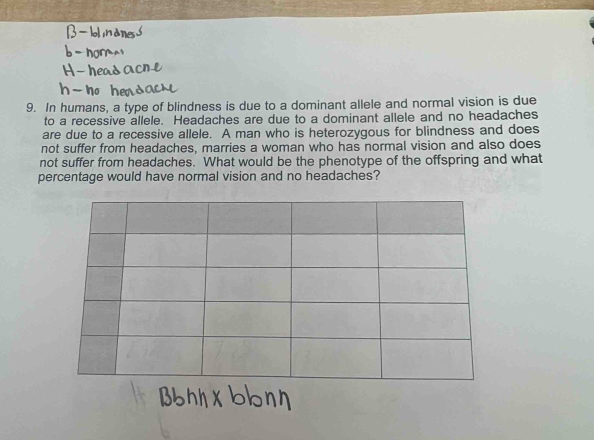 In humans, a type of blindness is due to a dominant allele and normal vision is due 
to a recessive allele. Headaches are due to a dominant allele and no headaches 
are due to a recessive allele. A man who is heterozygous for blindness and does 
not suffer from headaches, marries a woman who has normal vision and also does 
not suffer from headaches. What would be the phenotype of the offspring and what 
percentage would have normal vision and no headaches?