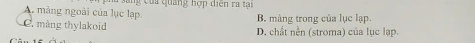 ng của quảng hợp diễn ra tại
A. màng ngoài của lục lạp.
B. màng trong của lục lạp.
C. màng thylakoid
D. chất nền (stroma) của lục lạp.