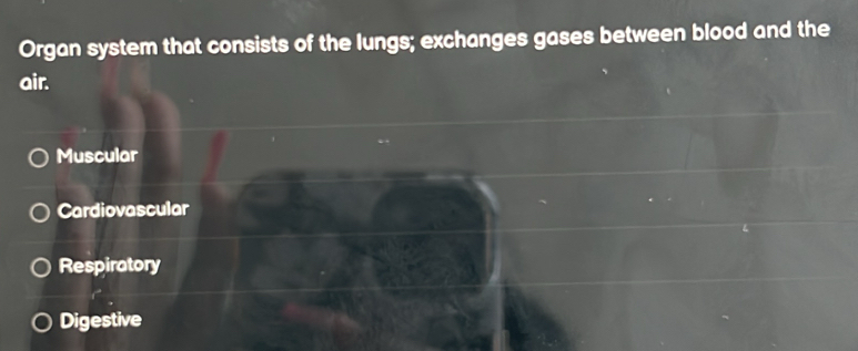 Organ system that consists of the lungs; exchanges gases between blood and the
air.
Muscular
Cardiovascular
Respiratory
Digestive